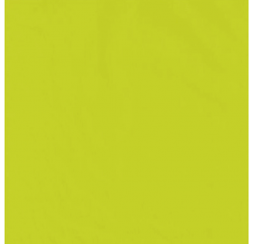 Papel de Embrulho 70cm Verde Vitality