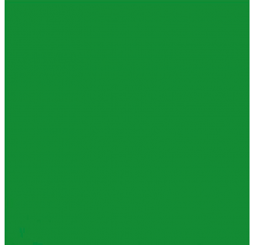 Papel de Embrulho 70cm Emerald Plain