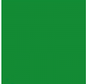 Papel de Embrulho 70cm Emerald Plain