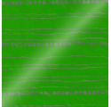 Carta da Regalo 70cm Lime Lines