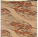 Nastro kraft naturale color grano 70mm x 100m