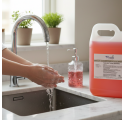 Sapone Liquido Frutti di Bosco 5L