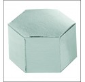 ESAGONO 60X30 ARGEN.LARI